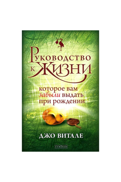 Руководство к жизни. Которое вам забыли выдать при рождение. Джо Витале (мягкий)
